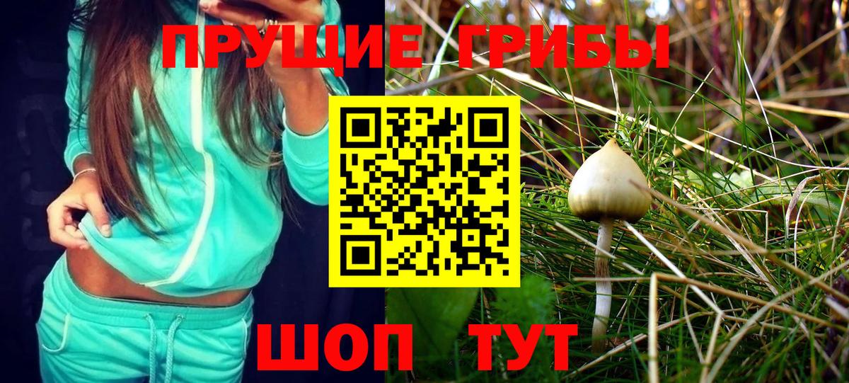 Псилоцибиновые грибы MAGIC MUSHROOMS  Галлюциногенные грибы Psilocybine cubensis  Ачхой-Мартан  Вход с VPN 